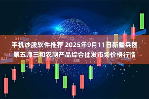 手机炒股软件推荐 2025年9月11日新疆兵团第五师三和农副产品综合批发市场价格行情