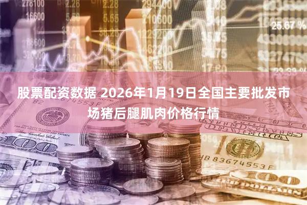 股票配资数据 2026年1月19日全国主要批发市场猪后腿肌肉价格行情
